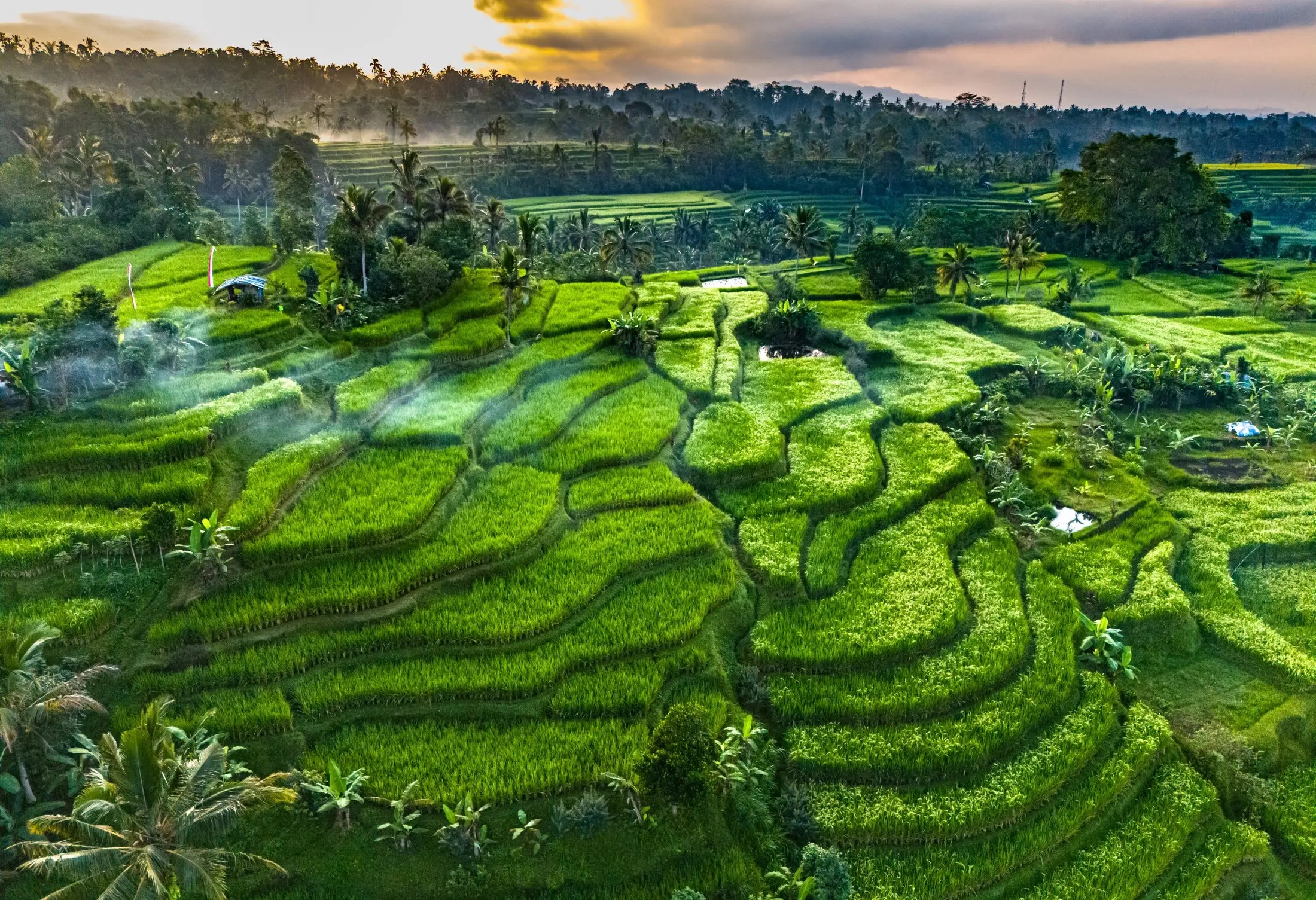 Bali - luty 🇮🇩