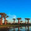 Madagaskar – wrzesień