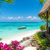 Zanzibar – styczeń